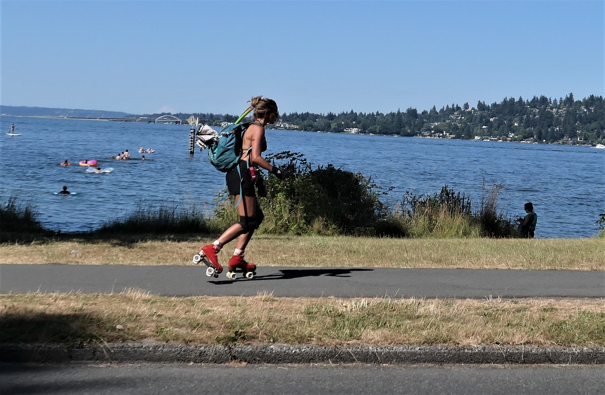 Seattle Opens one of its Prettiest Waterfront Boulevards to Biking
